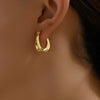 1 Pair Basic Vintage Style U Shape Plating Stainless Steel 18k Gold Plated White Gold Plated Hoop Earrings