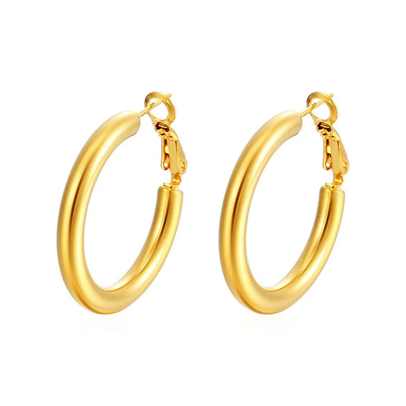 1 Pair Casual Simple Style Solid Color 304 Stainless Steel 18K Gold Plated Earrings