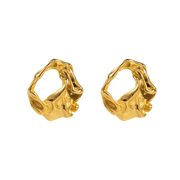 1 Pair Modern Style Simple Style Irregular 304 Stainless Steel Ear Studs