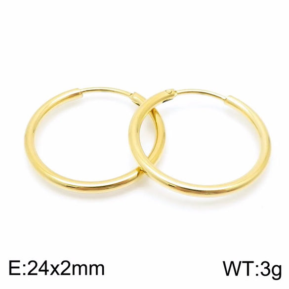 1 Pair Simple Style Solid Color 304 Stainless Steel 18K Gold Plated Earrings