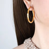 1 Pair Simple Style Solid Color Plating Titanium Steel 18K Gold Plated Earrings