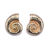 1 Pair Vacation Conch Plating Metal Ear Studs