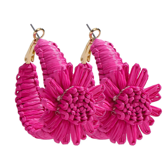 1 Pair Vacation Simple Style Flower Alloy Raffia Earrings