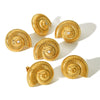 1 Pair Vintage Style French Style Conch Polishing Plating 304 Stainless Steel Artificial Pearls Zircon 18K Gold Plated Ear Studs