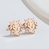 Simple Style Animal Titanium Steel Ear Studs Plating No Inlaid Stainless Steel Earrings