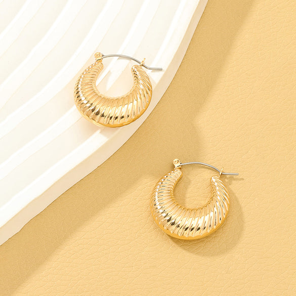 1 Pair Lady Solid Color Irregular Alloy Earrings