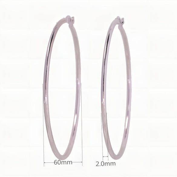1 Pair Simple Style Geometric Solid Color Plating Sterling Silver White Gold Plated Gold Plated Earrings
