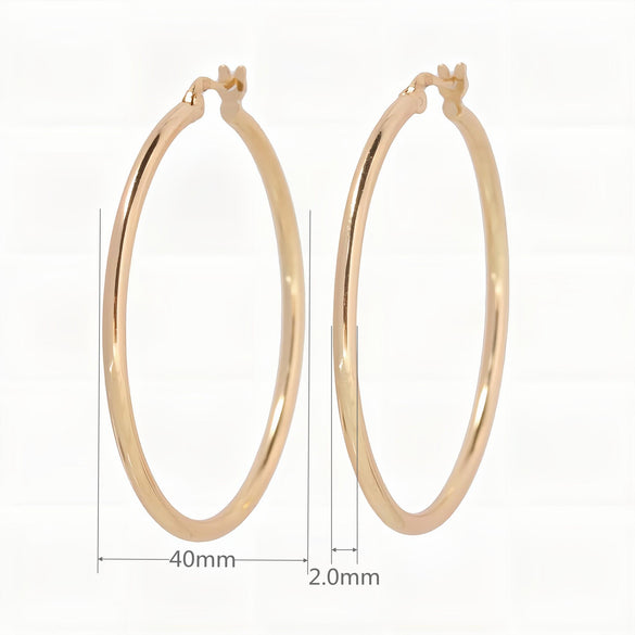 1 Pair Simple Style Geometric Solid Color Plating Sterling Silver White Gold Plated Gold Plated Earrings