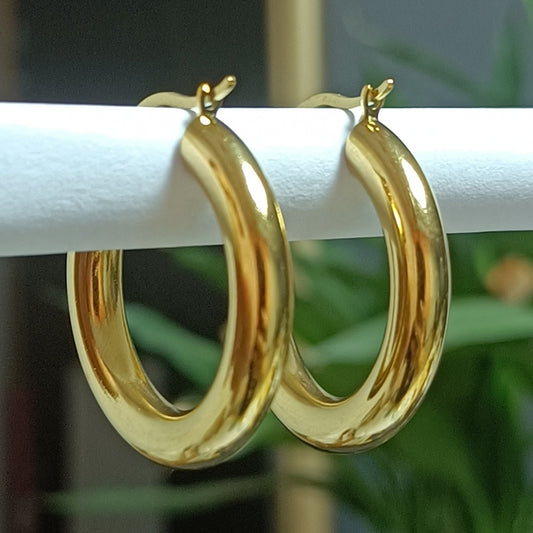 1 Pair Casual Luxurious Simple Style Circle Polishing Plating Titanium Steel 18k Gold Plated Earrings