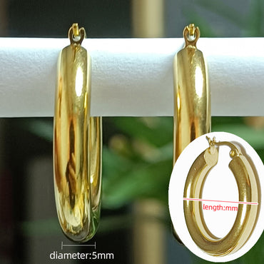 1 Pair Casual Luxurious Simple Style Circle Polishing Plating Titanium Steel 18k Gold Plated Earrings