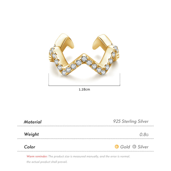 Fashion Star Sterling Silver Inlay Zircon Ear Studs 1 Piece