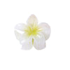 Women'S Cute Flower Plastic Resin Stoving Varnish Hair Claws