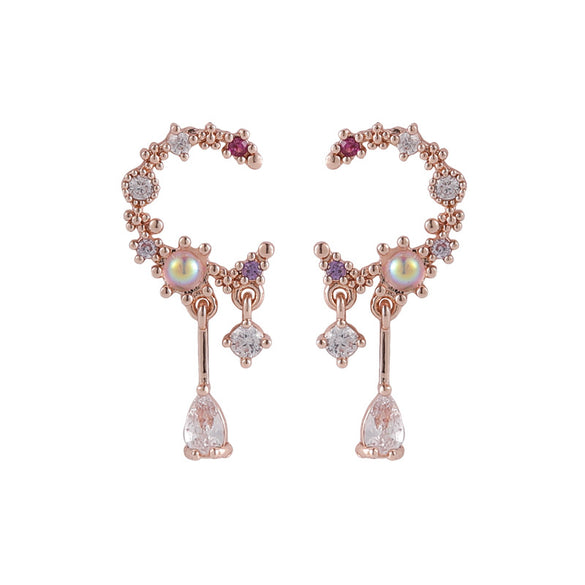 925 Silver Needle Fashion Exquisite Earrings