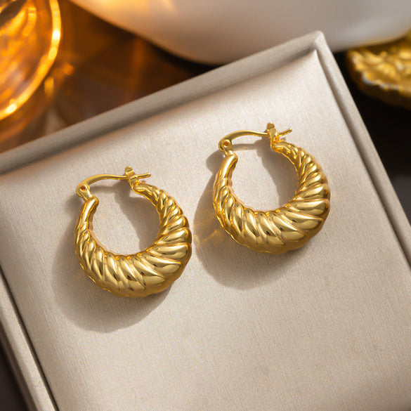 IG Style Stripe Geometric Titanium Steel 18K Gold Plated Earrings