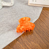 Acetic Acid Handmade Geometric Women's Hair Clips Grab Clip Bangs Clip Mini Shark Clip