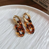 Acrylic Leopard Print Geometric Ringlinked Earrings Necklace Bracelet Set With Electroplating For Women