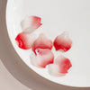Acrylic Petal Flower Frosted Gradient Diy Earrings And Hairpin Accessories