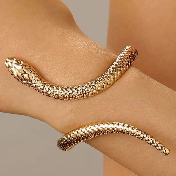 Adjustable Snake Design Alloy Bracelet With Electroplating For Men And Women