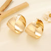 Alloy Cshaped Geometric Electroplated Earrings