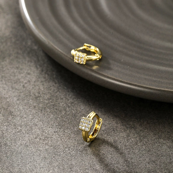 Alloy Electroplated Geometric Style Micropaved Zircon Women's Earrings Wholesale