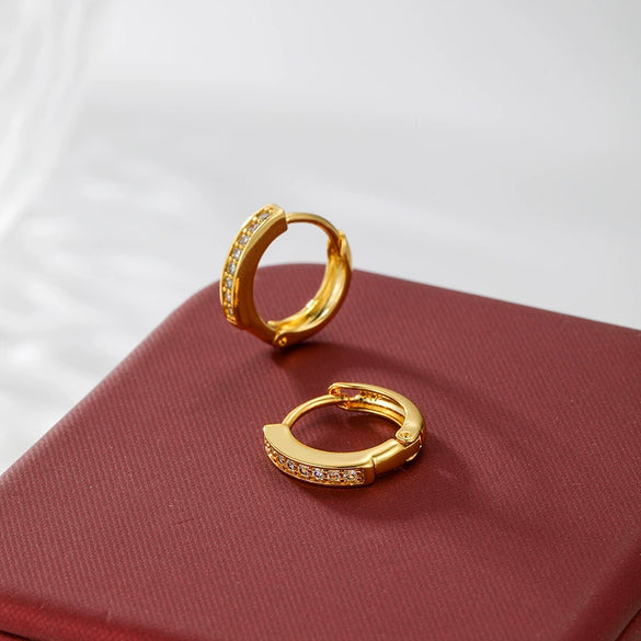 Alloy Electroplated Light Luxury Geometric Earrings