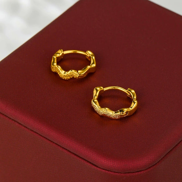 Alloy Electroplated Light Luxury Geometric Women's Earrings