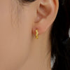 Alloy Electroplated Light Luxury Geometric Women's Earrings