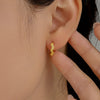 Alloy Electroplated Light Luxury Geometric Women's Earrings