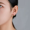 Alloy Electroplated Light Luxury Style Imitation Pearl And Micropaved Zircon Earrings For Women