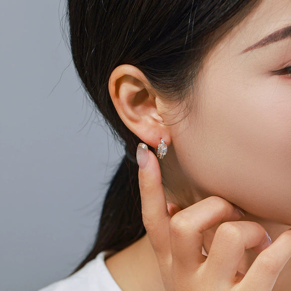 Alloy Electroplated Light Luxury Style Micropaved Zircon Women's Earrings