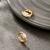 Alloy Electroplated Light Luxury Style Micropaved Zircon Women's Earrings