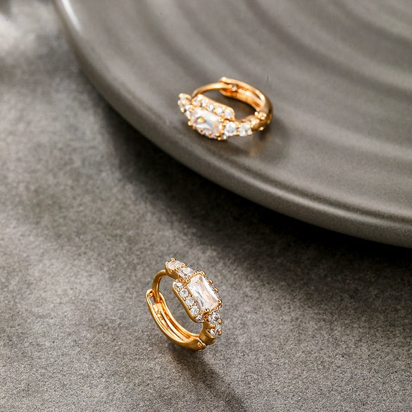 Alloy Electroplated Light Luxury Style Micropaved Zircon Women's Earrings