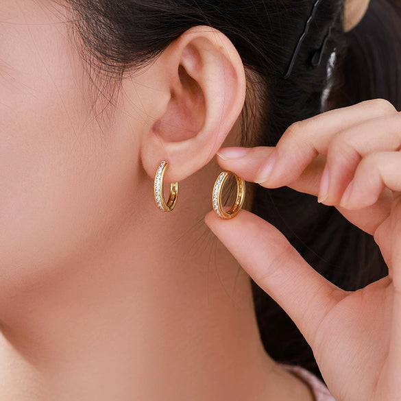 Alloy Electroplated Light Luxury Style Women's Micropaved Zircon Earrings