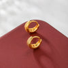 Alloy Electroplated Women's Light Luxury Earrings