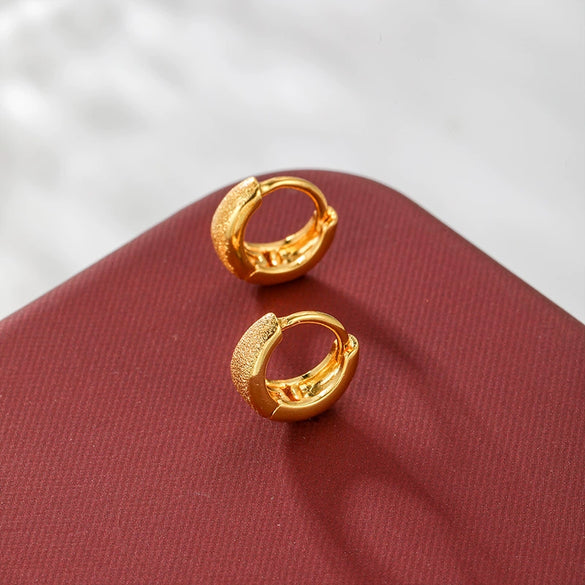 Alloy Electroplated Women's Light Luxury Earrings