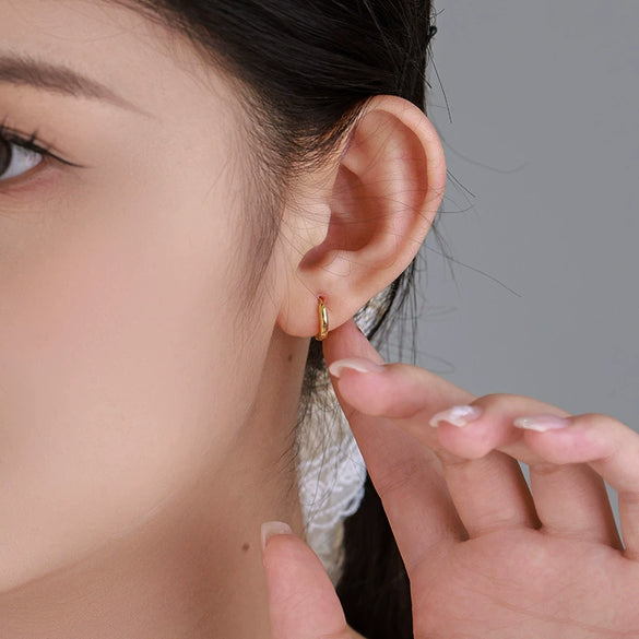 Alloy Geometric Electroplated Light Luxury Earrings For Unisex