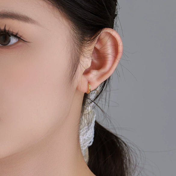 Alloy Geometric Electroplated Light Luxury Earrings For Unisex