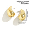 Alloy Geometric Electroplated Punk Style Teardrop Earrings For Women
