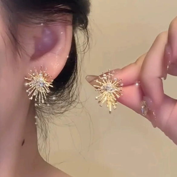 Alloy Geometric Electroplated Women's Light Luxury Elegant Highend Niche Unique Autumn And Winter Ear Jewelry