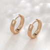 Alloy Geometric Hoop Earrings For Women Electroplated Simple Cold Style
