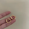 Alloy Geometric Light Luxury Electroplated Women's Earrings