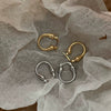 Alloy Geometric Light Luxury Electroplated Women's Earrings
