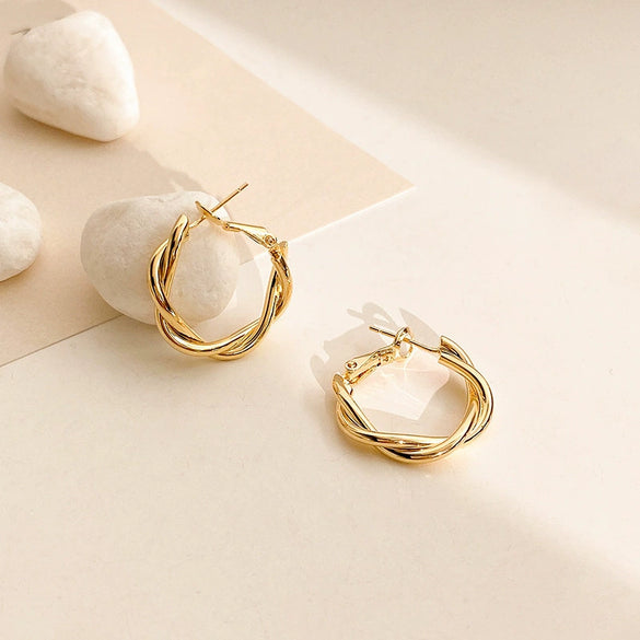 Alloy Geometric Light Luxury Electroplated Women's Earrings