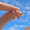 Alloy Geometric Style Electroplated Tassel Bear Cloud Earrings Unisex Jewelry