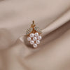 Alloy Grape Shape Minimalist Women's Electroplated Decorative Brooch