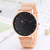 Alloy Mesh Band Men's Leisure Quartz Watch With Round Dial And Pin Buckle