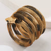 Alternative Stylish Exaggerated Punk Style Alloy Snakeshaped Animal Print Electroplated Unisex Bracelet Necklace