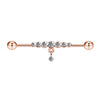 Barbell Earrings Stainless Steel Star Design Electroplated