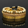 Bracelet Stainless Steel Copper Alloy Microinlaid Zircon Double Leopard Head Black Onyx Geometric Electroplating Style For Men
