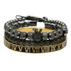 Bracelet Stainless Steel Copper Alloy Microinlaid Zircon Double Leopard Head Black Onyx Geometric Electroplating Style For Men